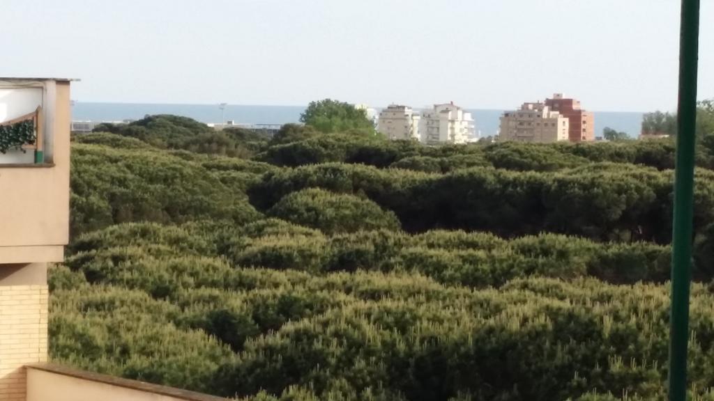 Апартаменти Superattico Panoramico Castel Fusano Номер фото